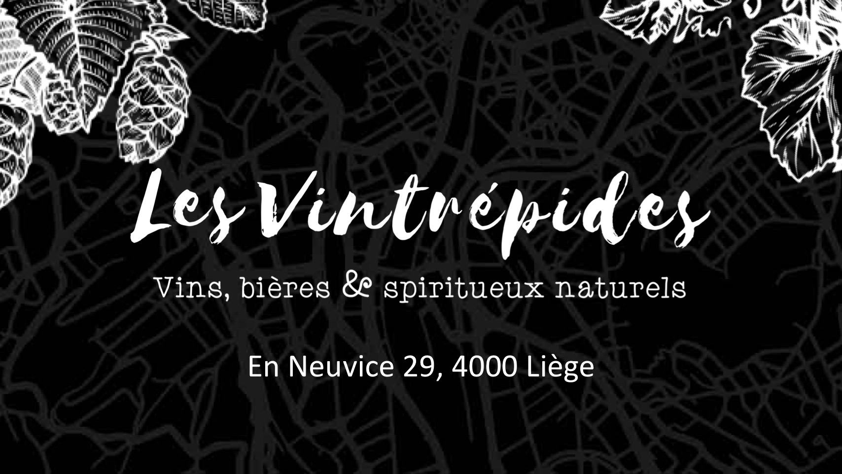 Les Vintrépides