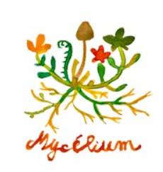 [MYC-O-MUSY] Muscat Sylvaner - Mycélium BIO